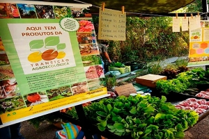 Programa fortalece produção agroecológica em Santa Clara do Sul