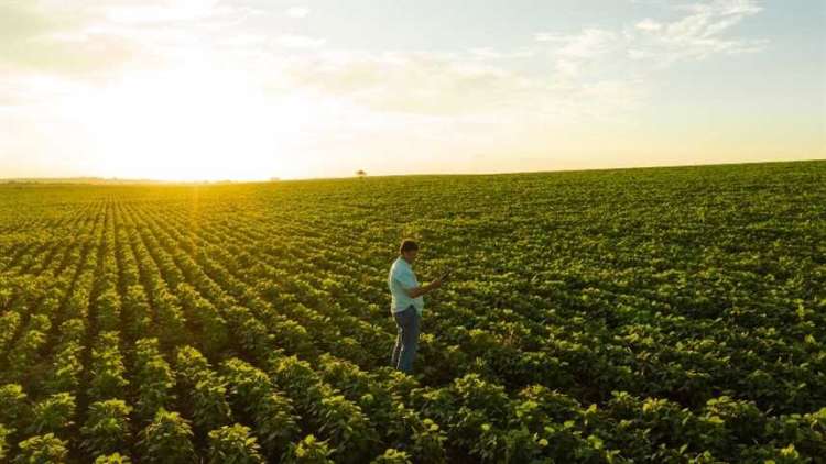 Mais de 11 mil pequenos negócios rurais receberam acompanhamento para aumentar a competitividade no campo