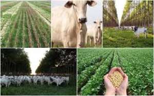 Integração lavoura-pecuária aumenta produtividade e beneficia qualidade do solo
