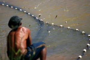 Aquicultura: tecnologia israelense está na mira do governo brasileiro