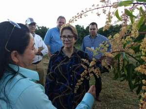 Governo inicia projeto que incentiva agricultura no Nordeste do país