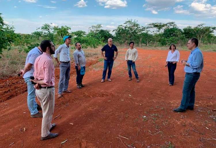 BNDES visita fazenda experimental do Projeto Biomas no Cerrado