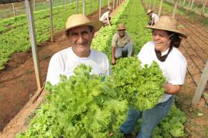 A partir de novembro passa a valer o Cadastro Nacional da Agricultura Familiar