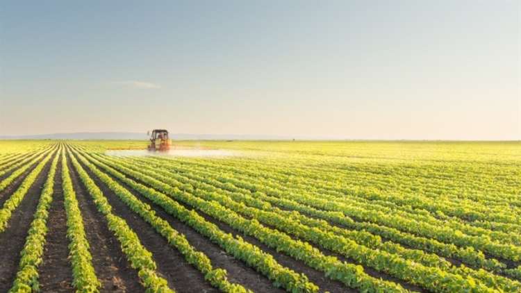 &quot;Biodefensivos com micróbios do solo e planta são o futuro&quot;