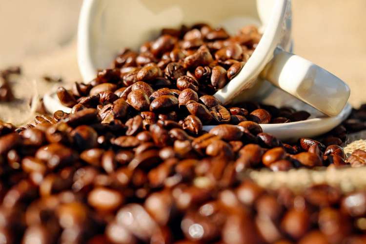 Mitos e verdade sobre o café, segunda bebida mais consumida do Brasil