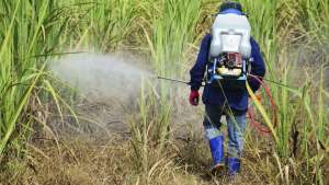 Plataforma AgroSaber quer divulgar informações técnicas sobre defensivos