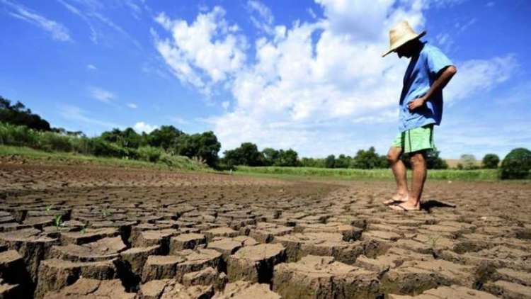 Seca que atinge Bahia pode elevar preço de produtos da cesta básica, aumentar desemprego e provocar prejuízos incalculáveis