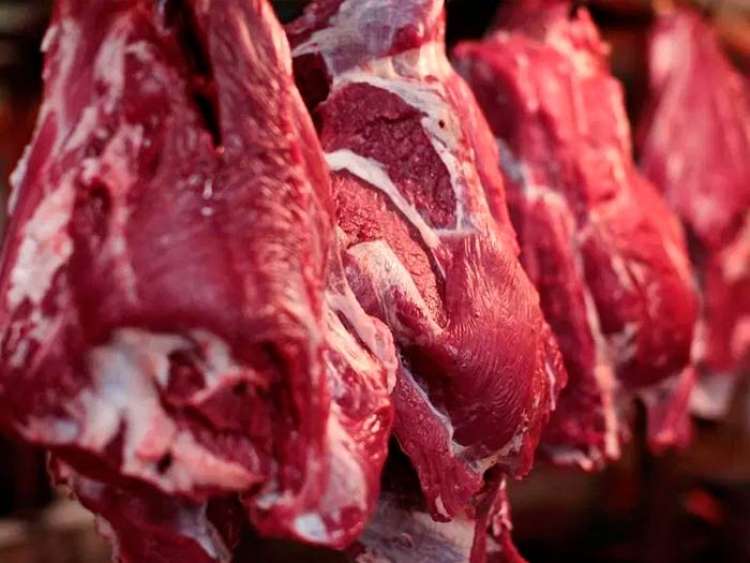 Carne bovina: exportações devem bater recorde no próximo ano