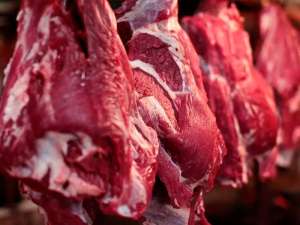 Carne bovina: exportações devem bater recorde no próximo ano