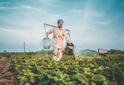 Glifosato: mitos e verdades sobre um dos agrotóxicos mais usados do mundo