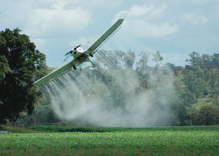 ‘Novos agroquímicos devem ser menos tóxicos e mais eficientes’