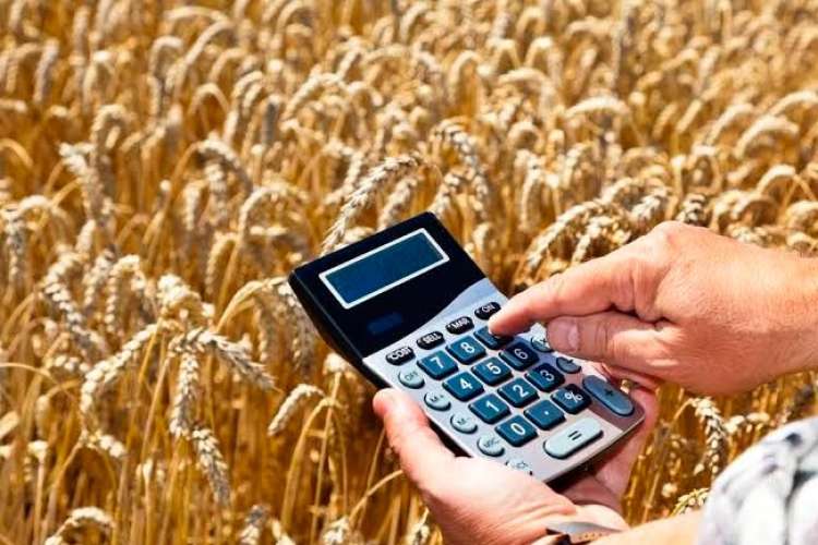 Contabilidade aplicada ao agronegócio enfrenta grandes desafios