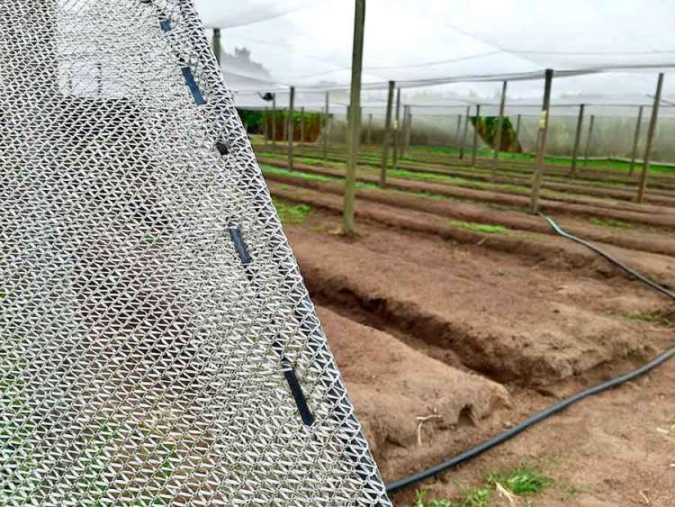 O uso de sombrites é um investimento que aumenta a garantia de uma colheita produtiva e de qualidade. Seu principal benefício é a redução nas perdas de hortaliças por excesso de sol e calor, observadas em forma de “golpes de sol” e queimaduras nas plantas.