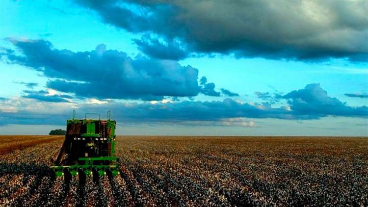 PIB do agronegócio mineiro fecha 2018 com crescimento de 3,55%