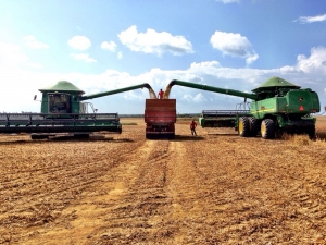 IBGE mantém crescimento de 6,8% na produção agrícola do Amapá em 2018