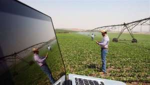 Startups do Agronegócio se destacam no mercado brasileiro