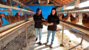 Aumenta a presença feminina em escolas agrícolas Foto: Reprodução/TV TEM