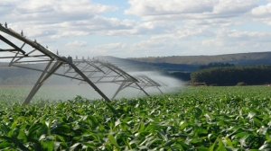 Energia rural volta a ter descontos; decreto foi publicado neste dia 04 de abril de 2019