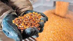 Mercado de etanol de milho atrai gigantes no País