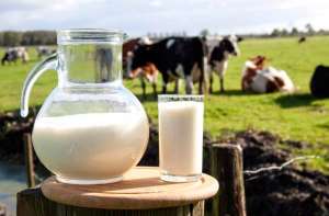 “Exportar leite é a saída para evitar instabilidade de preços ao produtor”, afirma diretor da SNA