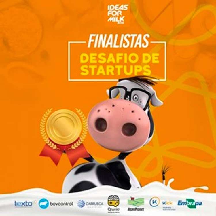 Oito soluções serão apresentadas na Final do Desafio de Startups da cadeia do leite