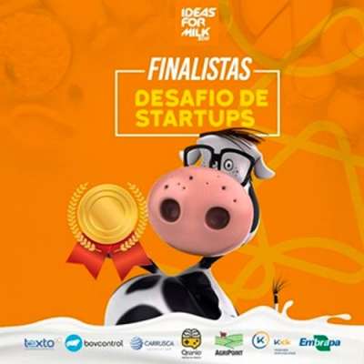 Oito soluções serão apresentadas na Final do Desafio de Startups da cadeia do leite