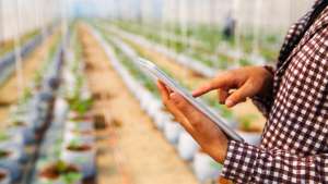 Inteligência Artificial oferece mais eficiência e agilidade ao agronegócio