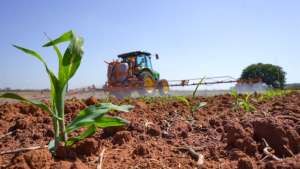 Relatórios dos EUA falam da “forte concorrência do milho brasileiro”