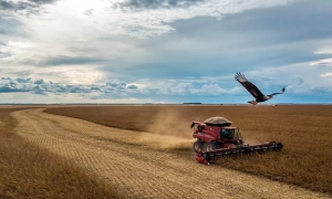 El Niño pode retornar no fim deste ano