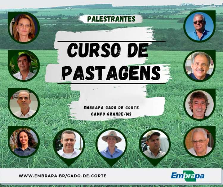 Curso de pastagem aborda impacto econômico de uma pastagem bem manejada