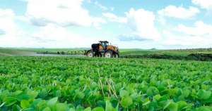 Anvisa vai reclassificar defensivos agrícolas que estão no mercado