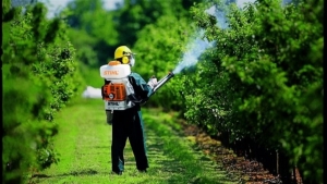 Japonesas investem em parceria no Brasil