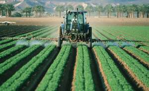 Dano do dicamba está sendo maior do que ano passado