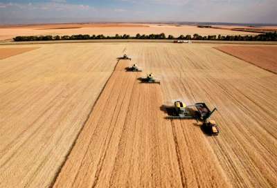 Cooperativismo no crédito rural chega a 17,2%