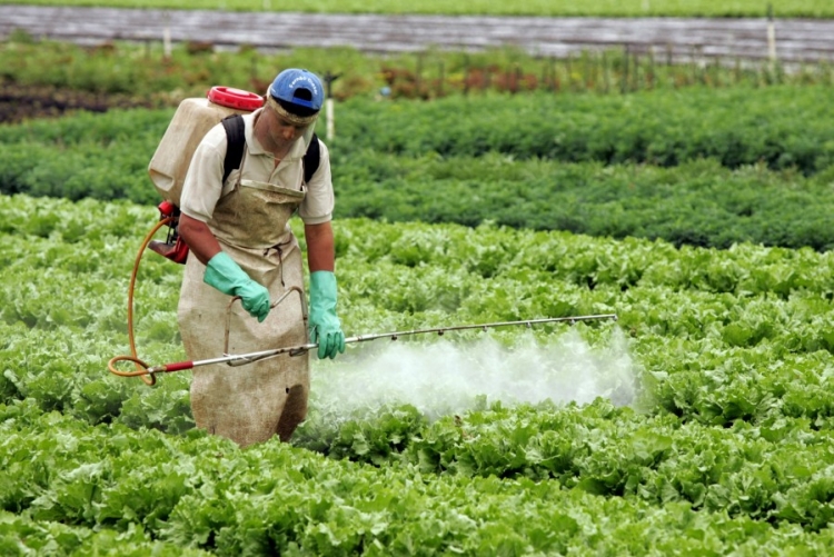 FAESP faz levantamento de defensivos agrícolas para pequenas culturas