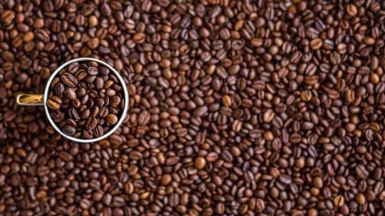 Produção de café arábica em 2019 tem faturamento bruto equivalente a 60% da safra de 10 anos atrás
