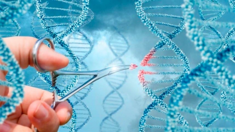 Dispositivo baseado em CRISPR detecta mutação em minutos