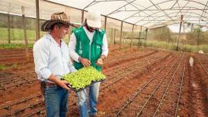 ATeG faz história na evolução do agro em MS