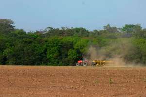 Tesouro autoriza bancos a retomarem crédito rural subsidiado.