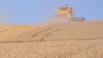 PIB do Agronegócio tem variação negativa de 0,01% em 2018 ante 2017, diz Cepea