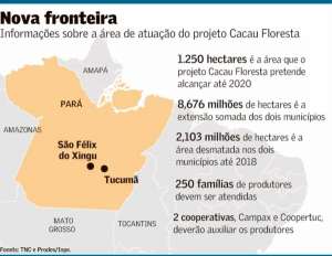 Projeto elege cacau para recuperar a Amazônia