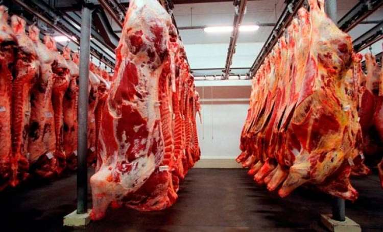 Brasil ainda tenta contornar barreiras às carnes