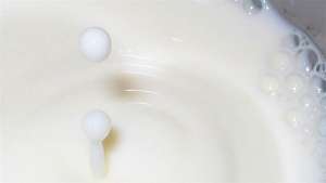 Conseleite/SC: preço do leite padrão a ser pago em setembro aumenta para R$ 1,18