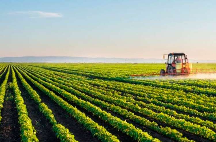 2020 deve ser positivo para o agro, dizem estimativas