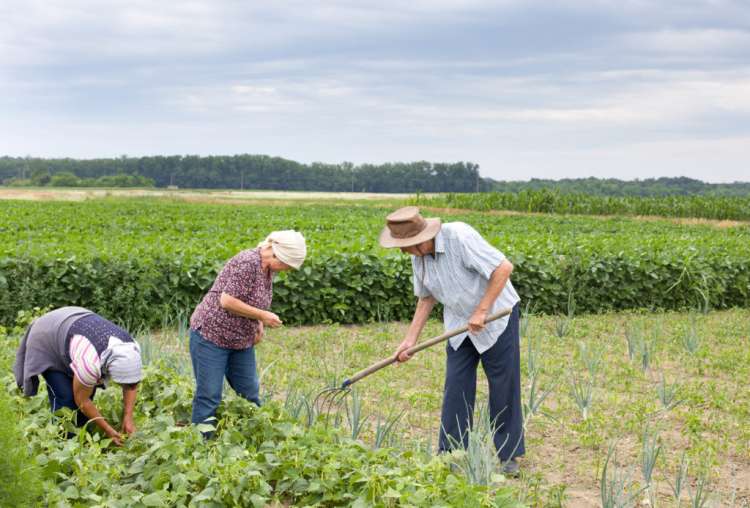 Governo e sociedade civil discutem propostas para a agricultura familiar