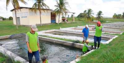 Extensão rural aquícola e pesqueira