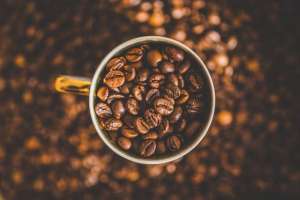 Café: tecnologia ajuda a melhorar rentabilidade