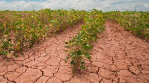 Após intervalo de alívio, a seca retorna ao cenário do sul do Brasil