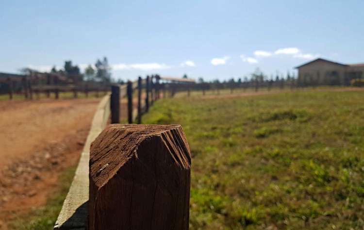 Propriedade rural: aquisição de imóvel por estrangeiros gera discussões. 