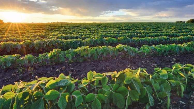 Mapa e Ipea firmam parceria para definir indicadores do programa Bioinsumos